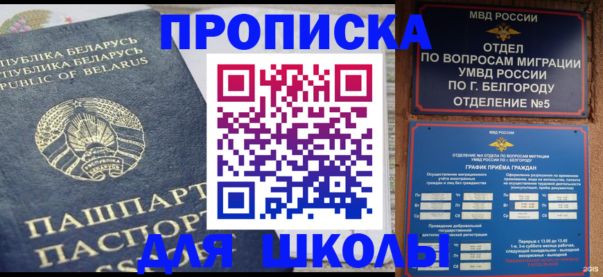 прописка по РВП в Благовещенске